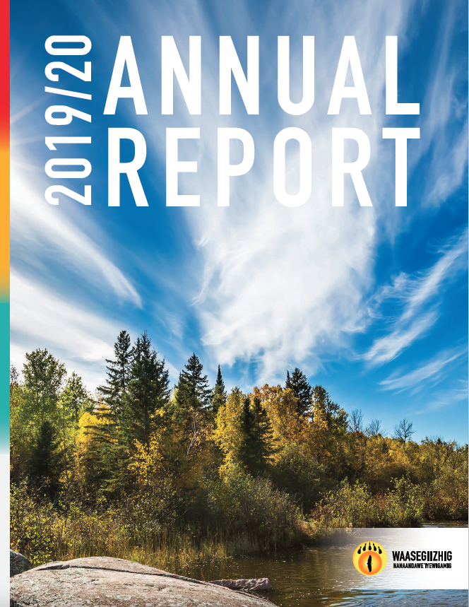 annual report 2019 2020