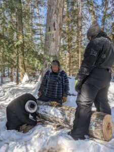 men with Cedar tree log in snow