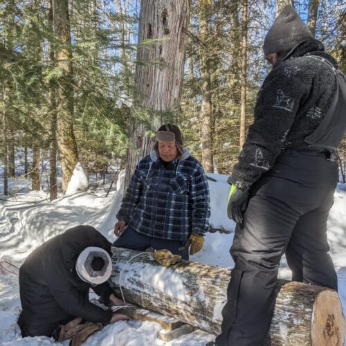 men with Cedar tree log in snow